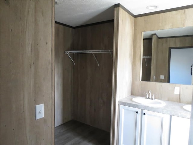 bathroom featuring vanity and hardwood / wood-style floors