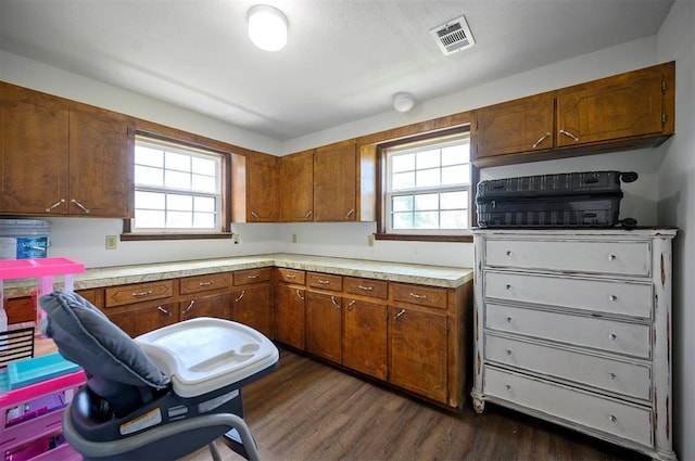 kitchen featuring a healthy amount of sunlight and dark hardwood / wood-style flooring