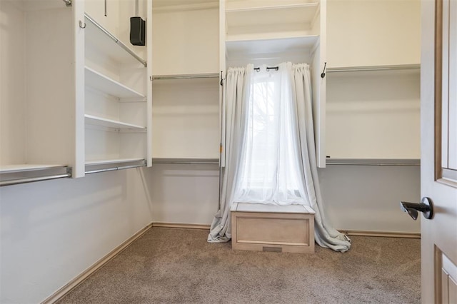 walk in closet with carpet