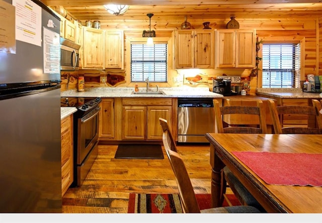 kitchen featuring stainless steel appliances, a wealth of natural light, decorative light fixtures, and a sink