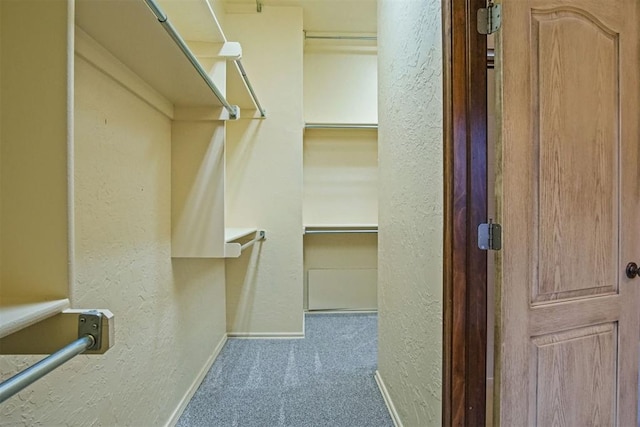 spacious closet with carpet floors