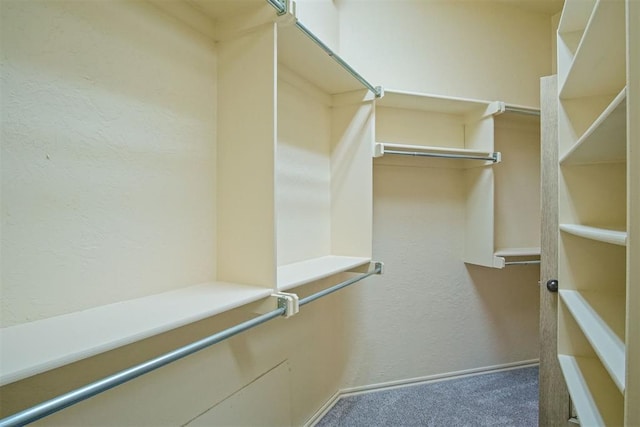 spacious closet featuring carpet