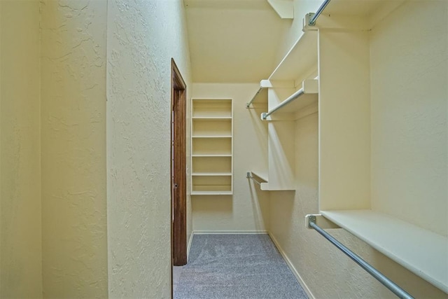 walk in closet with carpet