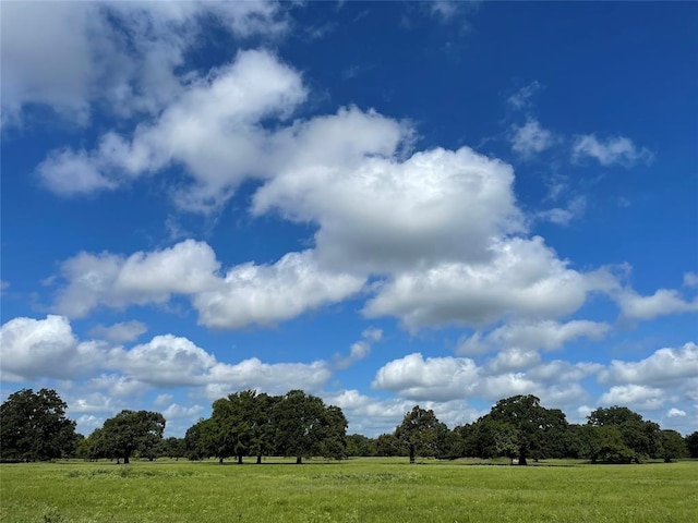 view of nature featuring a rural view