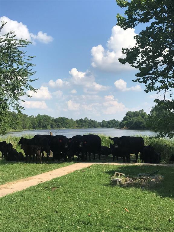 view of yard featuring a rural view and a water view