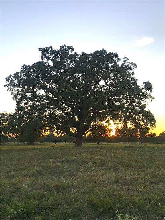 nature at dusk featuring a rural view