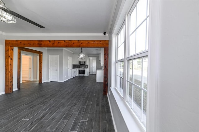 interior space featuring dark hardwood / wood-style flooring, sink, ornamental molding, and ceiling fan