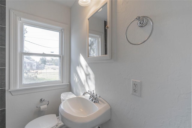 bathroom featuring sink and toilet