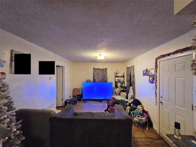 living room featuring wood-type flooring and a textured ceiling