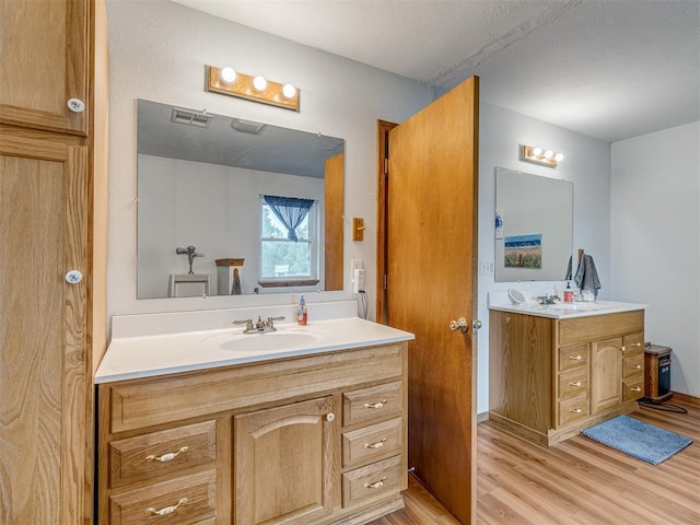 bathroom with vanity and wood-type flooring