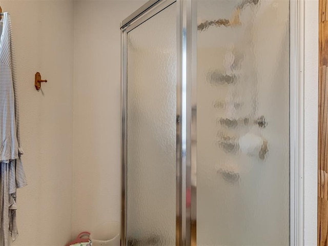 bathroom with a shower with shower door