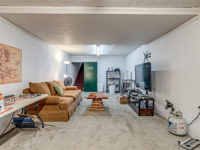 living room featuring carpet floors