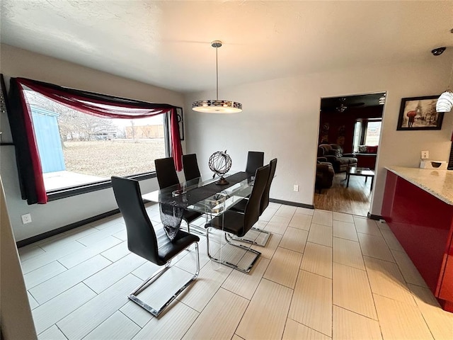 dining space featuring light hardwood / wood-style floors