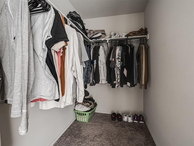 walk in closet with carpet