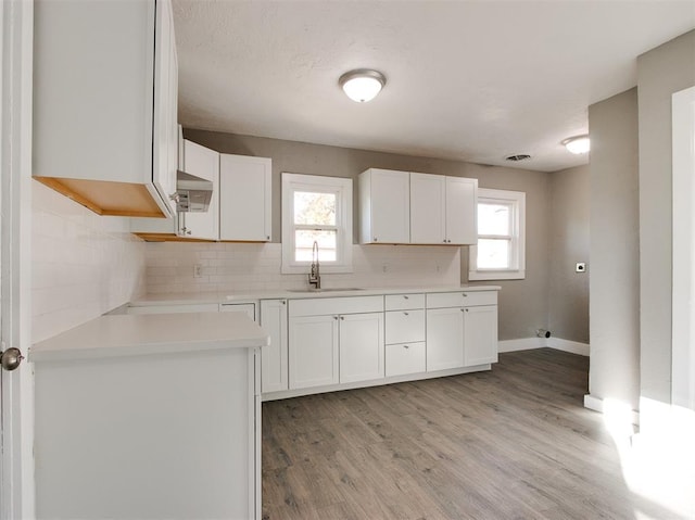 kitchen featuring tasteful backsplash, a healthy amount of sunlight, sink, and white cabinets