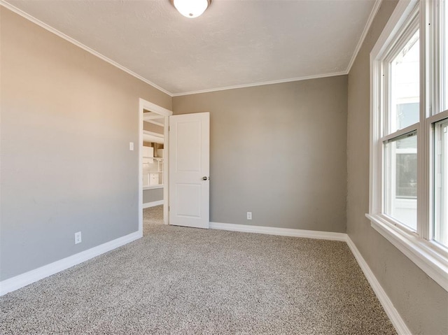 unfurnished room featuring ornamental molding and carpet