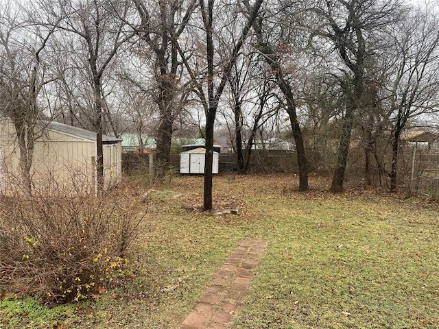 view of yard featuring a storage unit