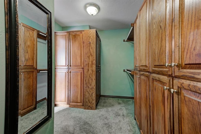 spacious closet with carpet floors