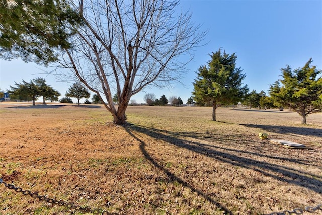 view of yard with a rural view