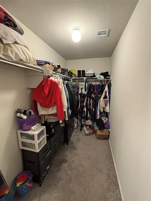 spacious closet featuring carpet floors