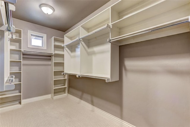 spacious closet featuring carpet floors