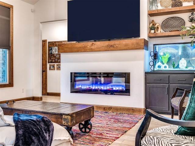 living room with hardwood / wood-style floors