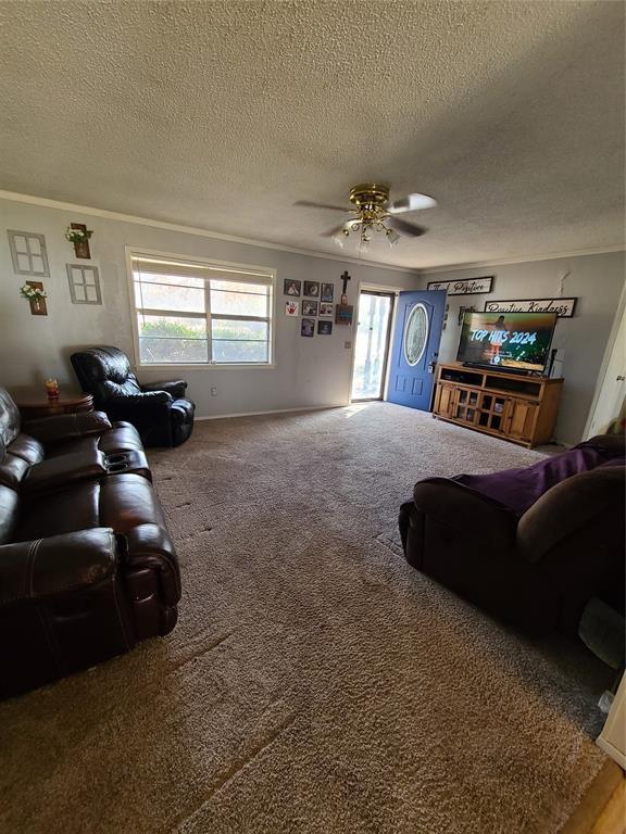 living room with crown molding, a textured ceiling, ceiling fan, and carpet flooring