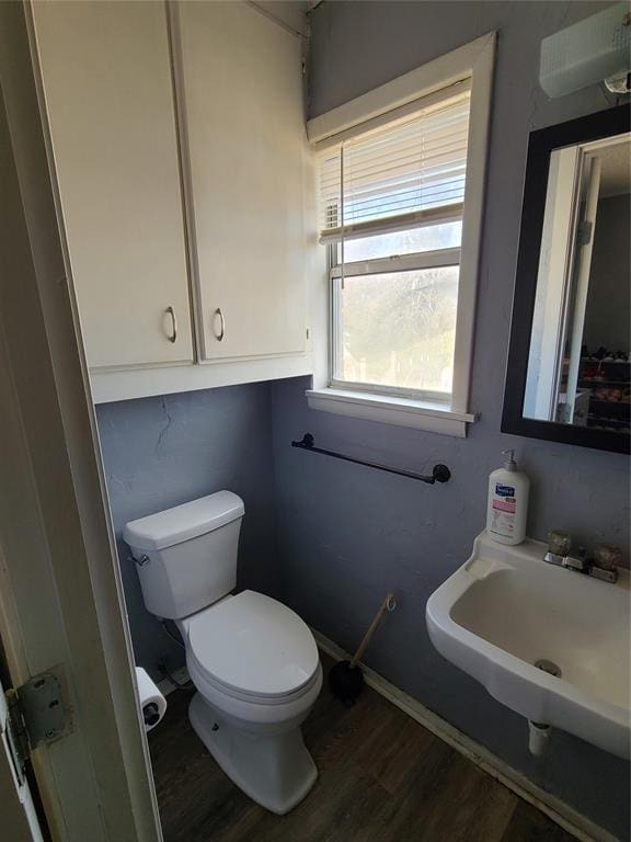 bathroom featuring sink, wood-type flooring, and toilet