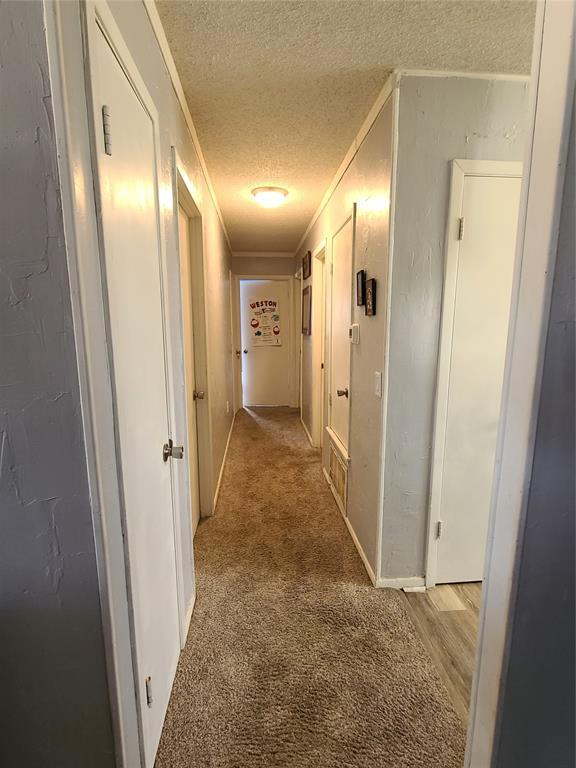 hallway with crown molding, carpet, and a textured ceiling