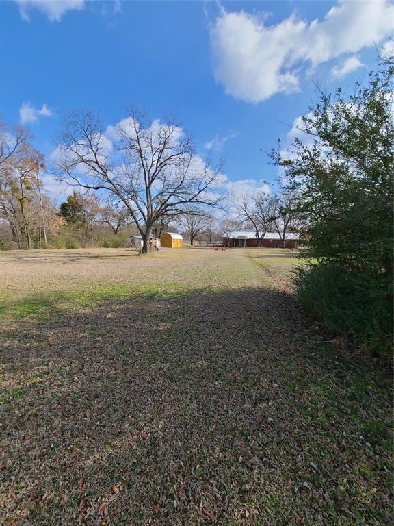 view of yard with a rural view