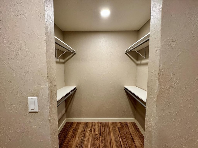 spacious closet featuring wood-type flooring