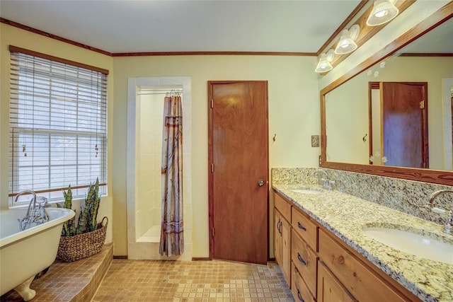 bathroom featuring ornamental molding, vanity, and a bathtub