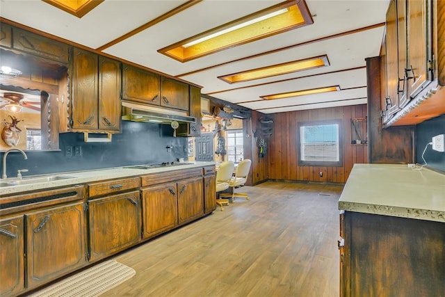 kitchen with black electric cooktop, sink, light hardwood / wood-style flooring, and wood walls