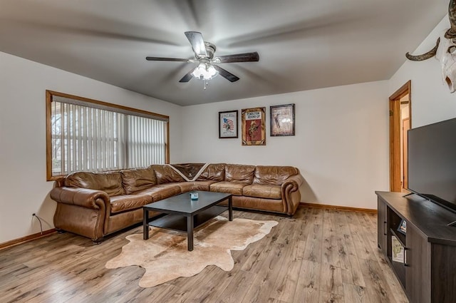 living room with light hardwood / wood-style floors and ceiling fan