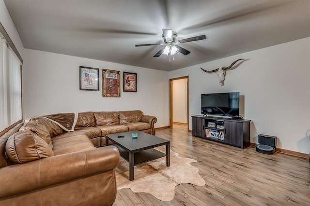 living room with ceiling fan and light hardwood / wood-style flooring