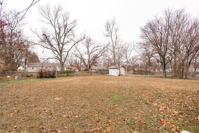 view of yard with a storage unit