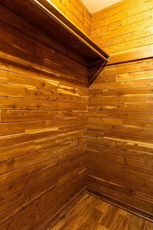 spacious closet featuring wood-type flooring