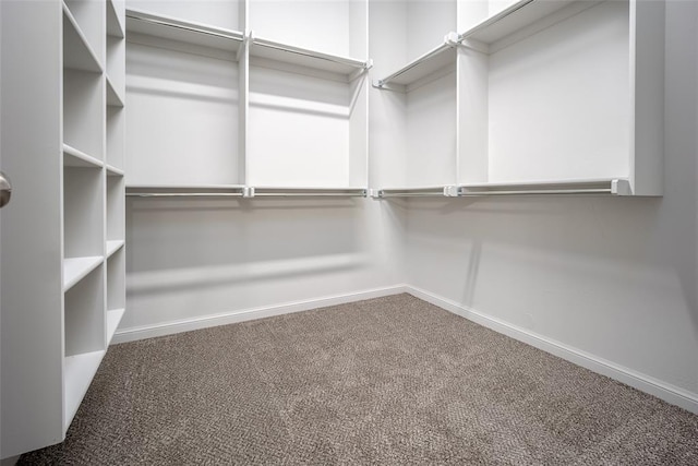 walk in closet with carpet floors