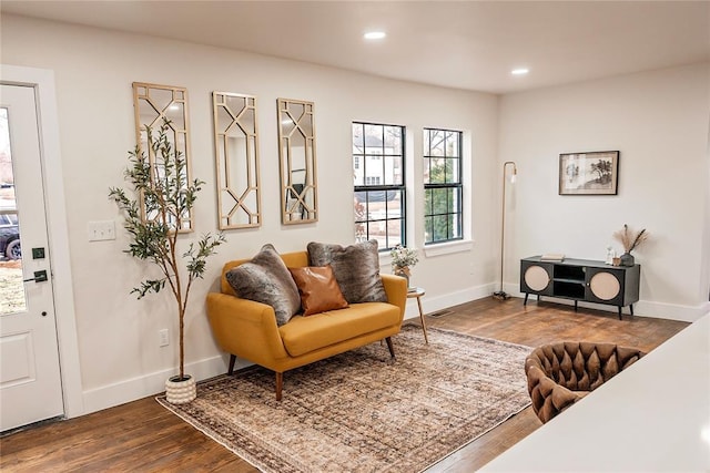 living area with dark hardwood / wood-style flooring