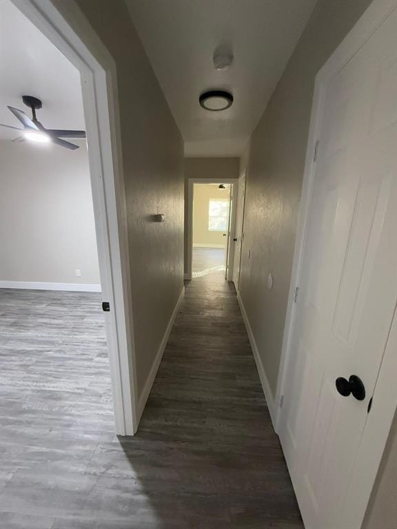 hall featuring dark hardwood / wood-style floors