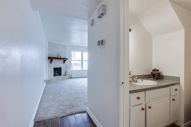 bathroom with vanity, a fireplace, and hardwood / wood-style floors