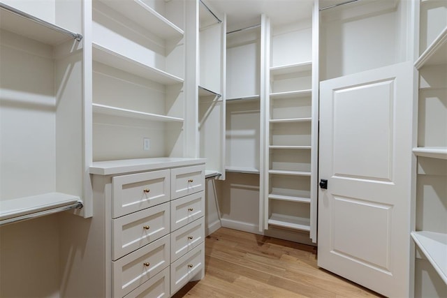 spacious closet featuring light wood-type flooring