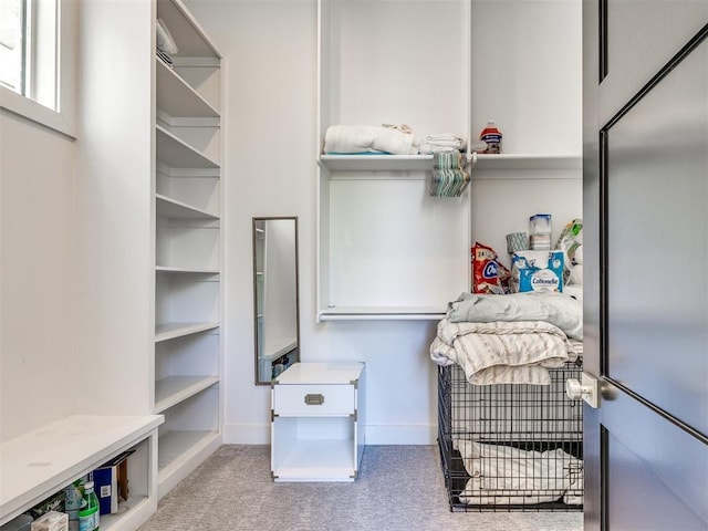 walk in closet with carpet flooring