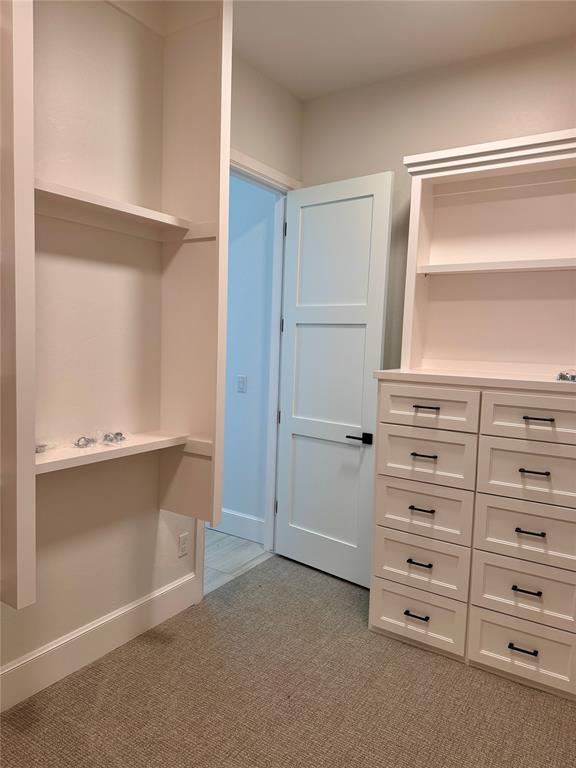 spacious closet with light carpet