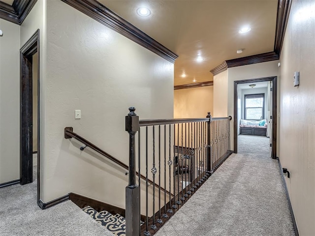 corridor with ornamental molding and carpet flooring