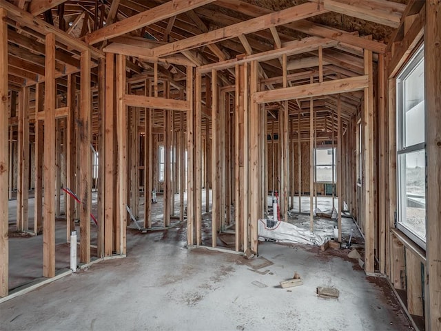 miscellaneous room with a wealth of natural light