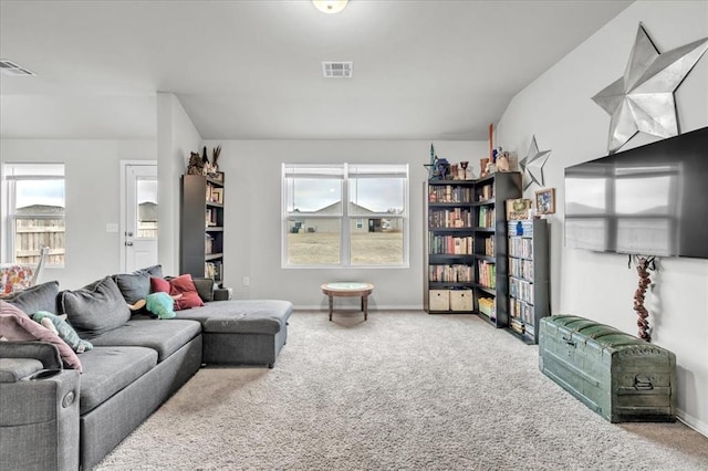 living room with carpet and a wealth of natural light