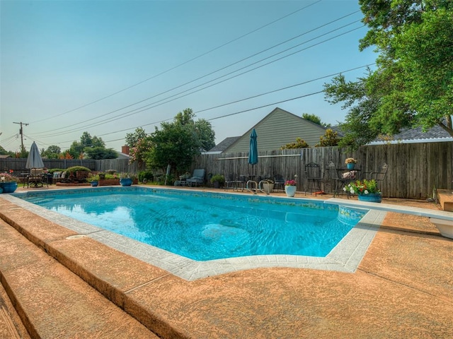 view of pool featuring a diving board