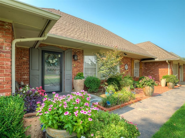 doorway to property with brick siding and roof with shingles