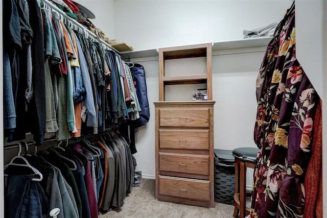 spacious closet with light carpet